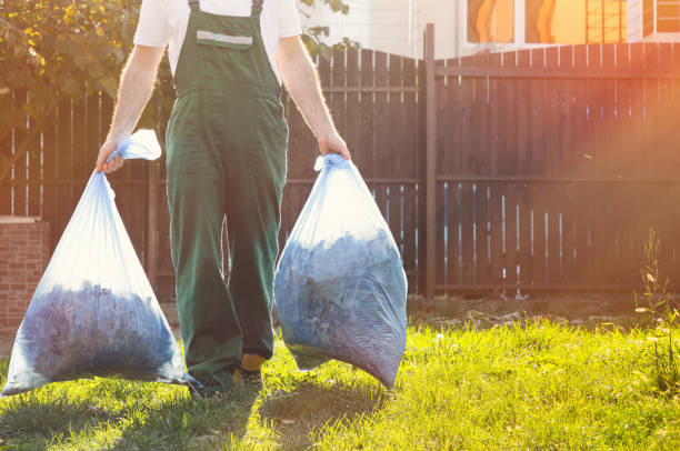 Best Dumpster Rental Services  in Black River, NY